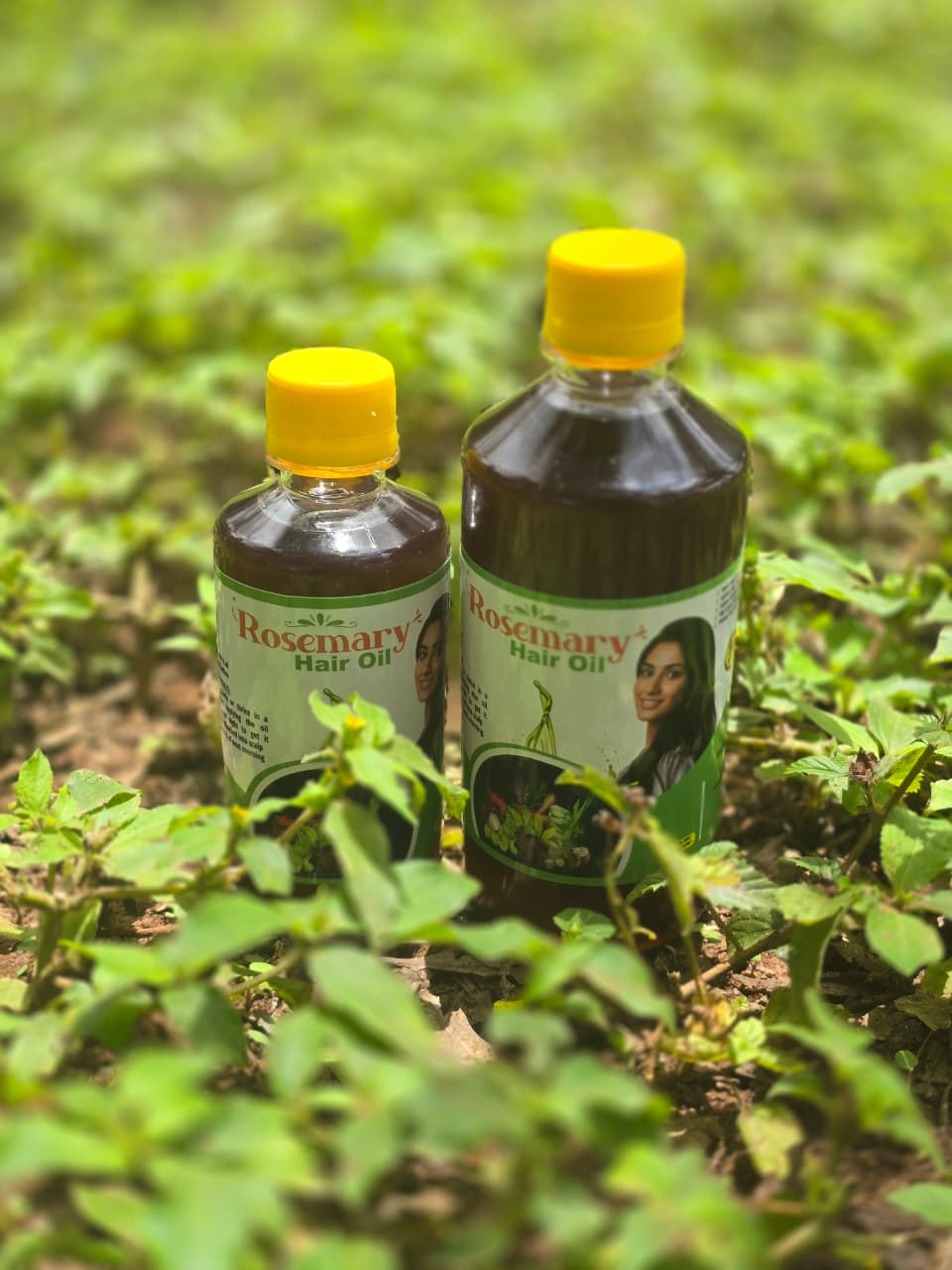 Rosemary Hair oil