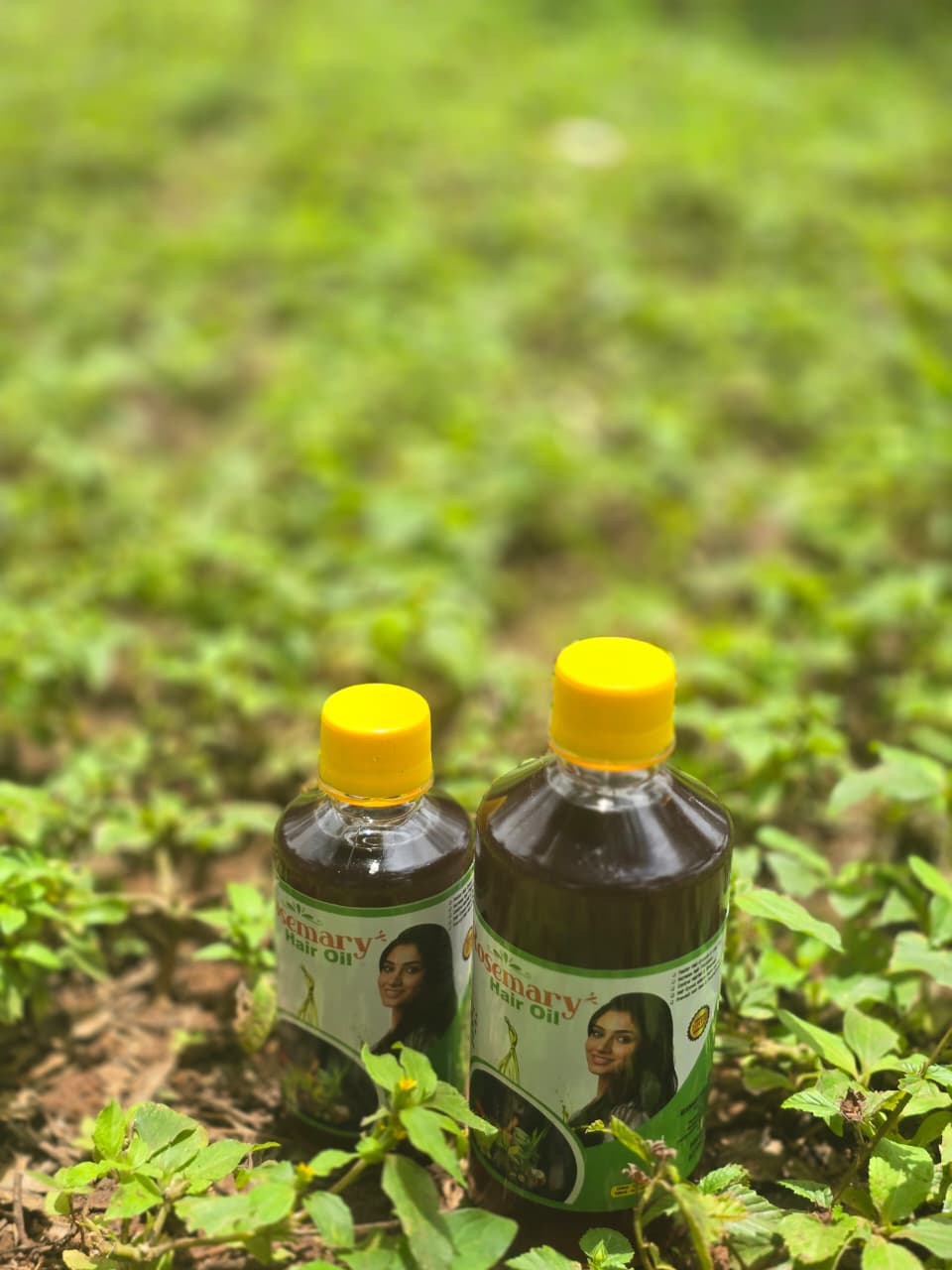 Rosemary Hair oil
